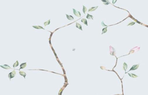 算命算出帝王盡然是女的 算命的說我帝王命