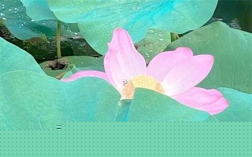 23畫的字及它的含義與解析 23畫的字及它的含義與解析