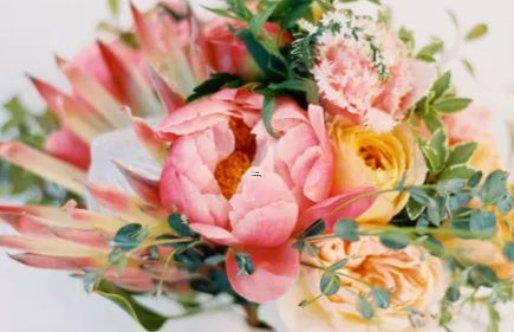 惹不得,咬住你就不松口的星座 惹不得,咬住你就不松口的星座