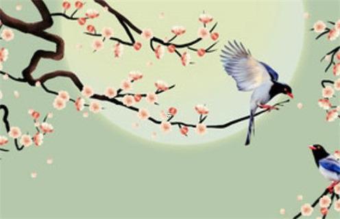 屬龍人33歲的命 屬龍人33歲什么命