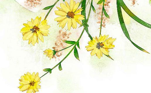 2024年11月響亮的寶寶名字 2020年11月14日取名 2024年11月響亮的寶寶名字 2020年11月14日取名