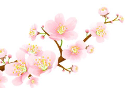 算命說明年三合是什么意思 算命說明年有喜指什么