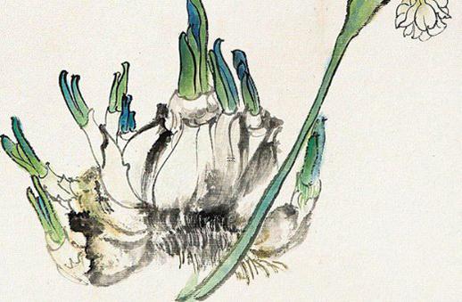 人生命運(yùn)bx是什么意思 人的命運(yùn)到底是什么