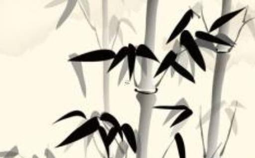 71年屬豬最不好的數字,71年屬豬一生最幸運數字 71年屬豬最不好的數字,71年屬豬一生最幸運數字