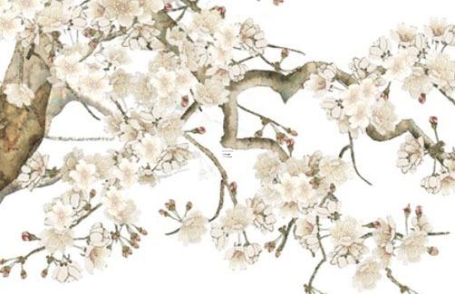 2004屬猴女的生肖配對,2004年屬猴女孩