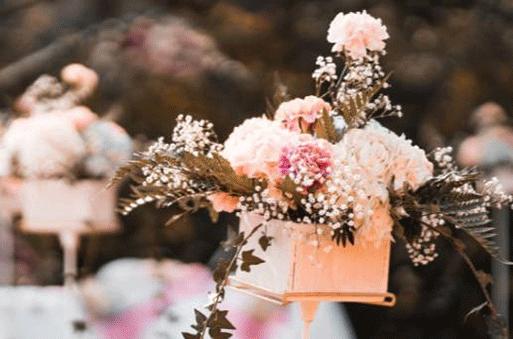 11 29星座 11 29星座