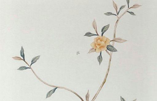 塔羅未來結婚對象的特征 塔羅未來結婚對象的特征是什么
