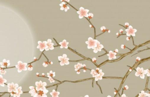屬龍今年多大2019虛歲，屬龍今年多大年齡2023