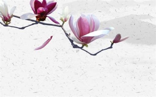 火龍年是哪些年份 火龍命是什么火
