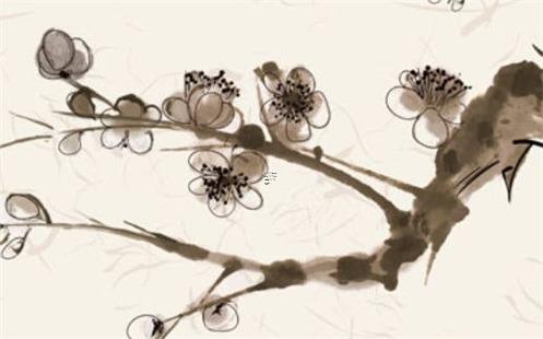 男孩小名字大全2023年屬兔洋氣一點,2023年兔寶寶男孩 男孩小名字大全2023年屬兔洋氣一點,2023年兔寶寶男孩