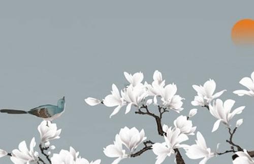 屬猴今年多大1992 屬猴今年多大歲數啦 屬猴今年多大1992 屬猴今年多大歲數啦