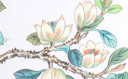 兩陰兩陽(yáng)八字的人怎么樣 兩陽(yáng)兩陰命格