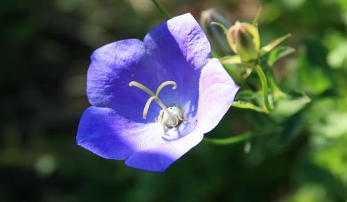 夢見很多水瓶 夢見水瓶里的水灑了