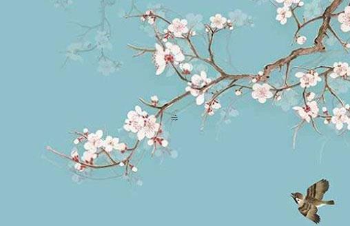 董易奇八字免費(fèi)測(cè)算 八字初級(jí)視頻教程主講董易奇