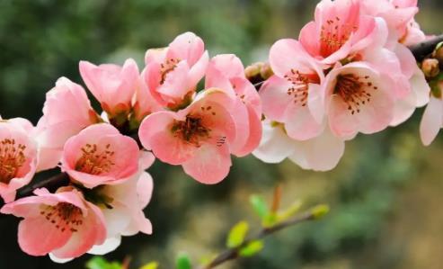 周公解夢(mèng)夢(mèng)到與***老公打罵 夢(mèng)見(jiàn)和***老公打架是什么意思