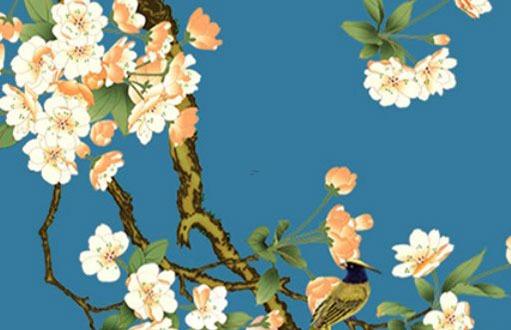 女人屬兔的本命年