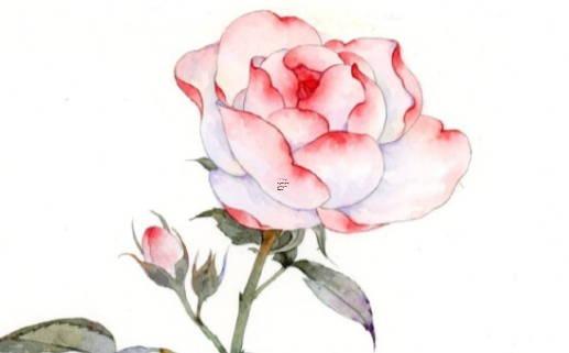 算命能算出一個人有沒孩子么 算命能看出命中有幾個子女嗎