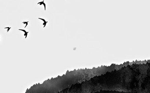 免費(fèi)算一下我的婚姻 免費(fèi)算算我的婚姻與命運(yùn)
