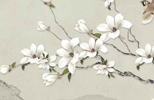 算命老師說全陰是什么意思 算命老師是學(xué)霸