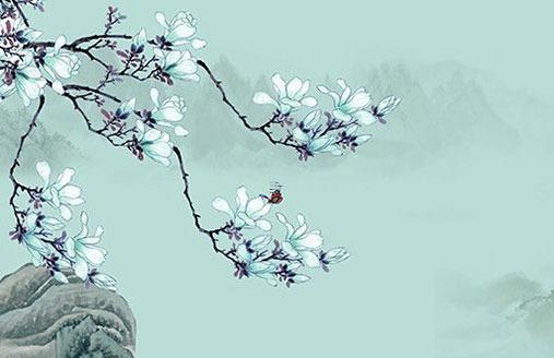 屬虎人2023年多大年齡了呢,虎人在2023年的命運
