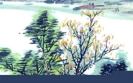 2023年屬猴蛇的全年運勢,2023年運勢詳解