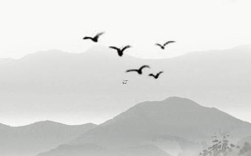 屬豬女寶寶取名大全 屬豬的女寶寶取名洋氣 屬豬女寶寶取名大全 屬豬的女寶寶取名洋氣