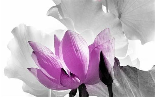 算命里跳財(cái)是什么意思是什么意思 跳柴是什么意思