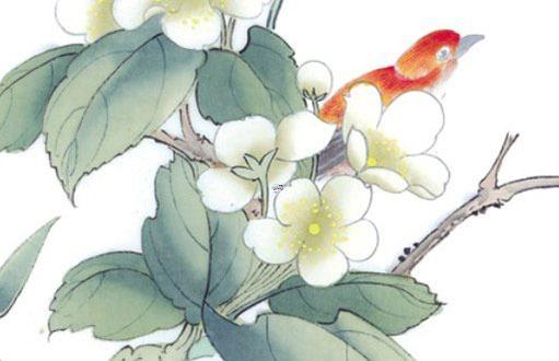 虎跟什么屬相沖 虎和什么屬性相沖