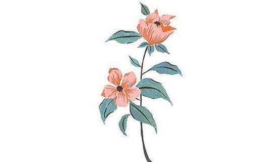 八字起名都有哪些禁忌事項(xiàng)了解起名的原則 八字起名建議