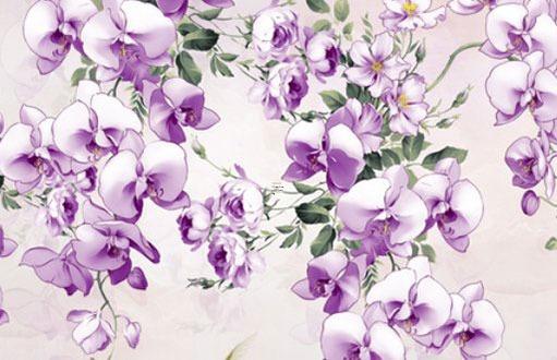 1950年屬虎的今年多大歲數 1950年屬虎多大年齡