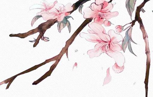 岳陽民間盲人八字高手在哪里 岳陽盲人學(xué)校