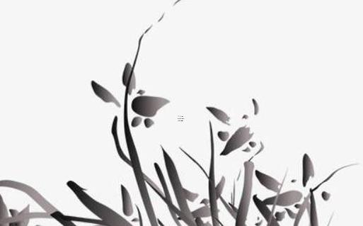 發財樹的種植技術 發財樹的種植技術和管理