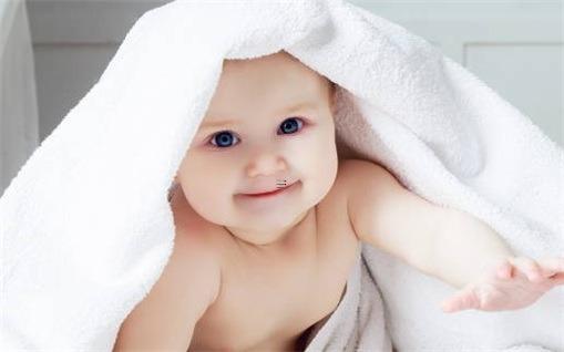 屬鼠和屬牛的相沖嗎 屬鼠和屬牛的犯沖嗎 屬鼠和屬牛的相沖嗎 屬鼠和屬牛的犯沖嗎