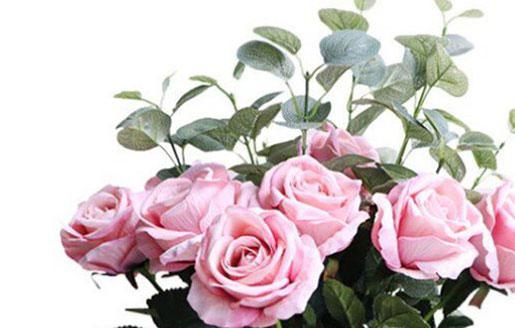 十二星座好色排行 十二星座好色排行