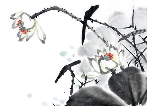 屬鼠的最忌諱什么屬相,屬鼠人禁忌的東西