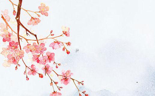 算命說石榴花命是什么意思 算命說的石榴花是什么意思