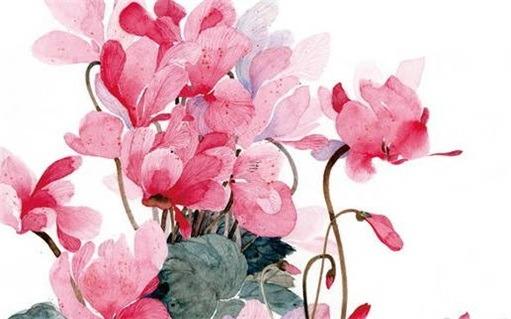 屬豬的人與屬虎人合作怎么樣,屬豬和屬虎人可以合作生意嗎