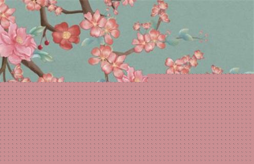 八字解讀小s事業(yè)婚姻及家暴事件 小s婚姻狀況