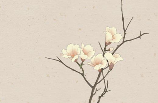 算命算出兩兩命好不好 兩兩命算法