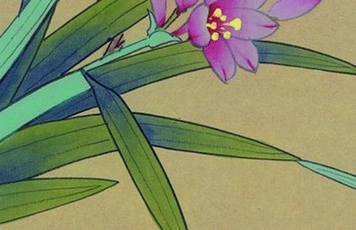 屬虎的九月份運(yùn)勢(shì) 屬虎的9月份運(yùn)勢(shì)