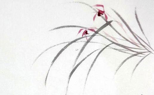 好聽的qq女孩名字可愛