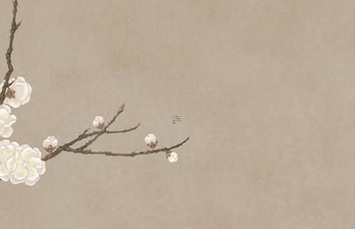 屬虎的2023年多大了呢,屬虎的2023年多大了呢女孩 屬虎的2023年多大了呢,屬虎的2023年多大了呢女孩