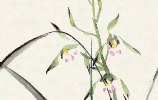 屬龍和屬狗的合不合財(cái)運(yùn) 屬龍和屬狗的合不合得來