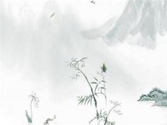 72年的屬鼠人的父母,72年屬鼠的親人離世災難年齡