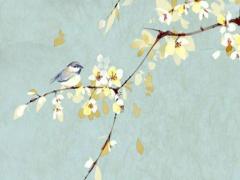 屬豬男最佳婚配是什么,屬豬男最佳配婚配