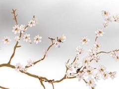 屬鼠2023幸運色紅色可以嗎,屬鼠的明年幸運色