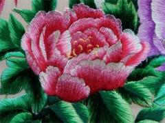 2023年屬兔什么五行