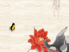 屬鼠的人2023年的運(yùn)氣好不好,屬鼠的人2023年的運(yùn)勢(shì)及運(yùn)程