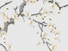 74年屬虎女2023年運勢及運程每月運程五月運氣 74年屬虎女2023年運勢及運程男性