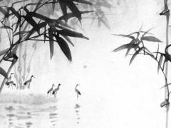 八字沒有印星的女人 八字沒有印星真的不長壽嗎